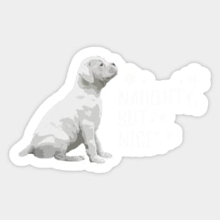 Naughty but Nice Christmas, White Boxer Dog Sticker